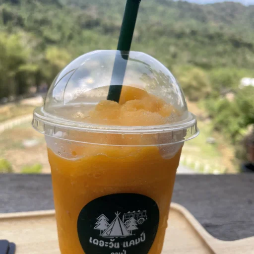 กุ้งนาง